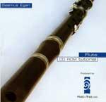 SEAMUS EGAN - Irish Flute Tutorial