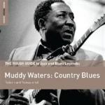 WATERS Muddy - Country Blues (Special Edition)