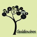 GUIDEWIRES - II