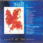 AAVV - Sult (Lunny Donal, Brady Paul, Knopfler Mark, Molloy Matt ...))