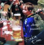 BIRKIN TREE - A Cheap Present
