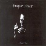 POWER Brendan - Blow In