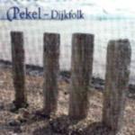 PEKEL - Dijkfolk