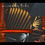 ACCORDION TRIBE - featuring Bratko Bibic, Lars Hollmer, Maria Kalaniemi