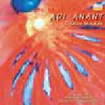 Adi Anant (feat. L'Orchestre Transes Europeennes)