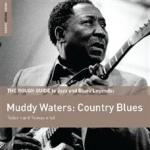 Country Blues (Special Edition)