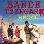 Necal
